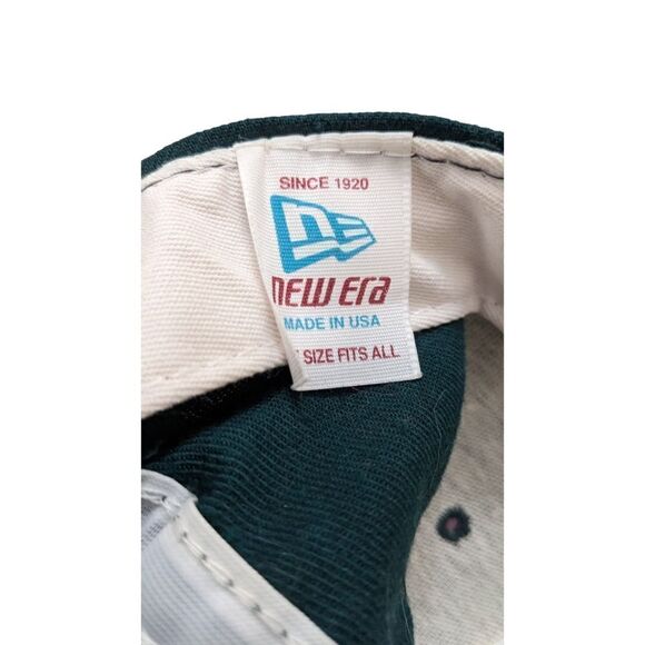 Buffalo Bisons Toronto Blue Jays MiLB MLB Snapback Baseball Hat Cap Vintage 90s - Picture 6 of 6